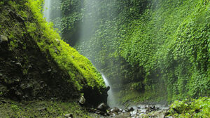 Air Terjun Madakaripura, Sebuah Wisata Dunia Yang Hilang