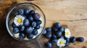 Benefits Of Blueberries While Breastfeeding