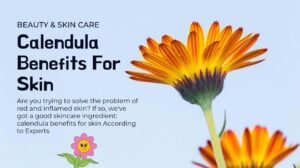 Calendula Benefits For Skin
