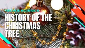 5 History of The Christmas Tree, Symbol of Hope in Winter