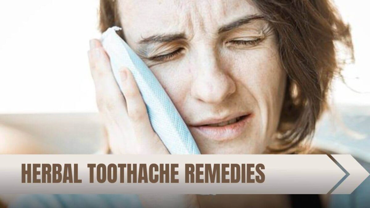10 Powerful Herbal Toothache Remedies » 2024