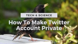 How To Make Twitter Account Private on A PC and Cellphone, It’s Really Easy!