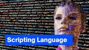 Scripting Language: Definition, Functions, and Types
