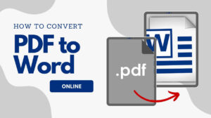 How to Convert PDF to Word Online