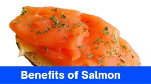 9 Benefits of Salmon: The Delicious & Nutrient-Rich Superfood for Optimal Health