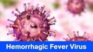 Hemorrhagic Fever Virus Exposed: The Terrifying Truth Unveiled!