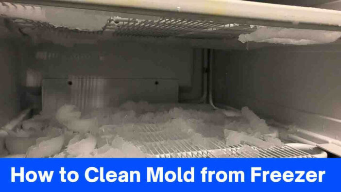 How to Clean Mold from Freezer