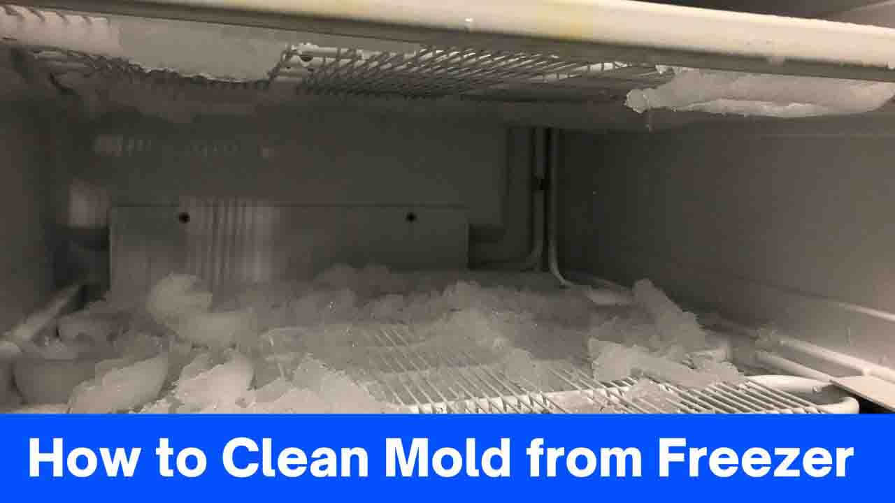 How To Clean Mold From Freezer A Comprehensive Guide » 2024