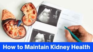 How to Maintain Kidney Health: Essential Foods and Habits for Optimal Renal Function