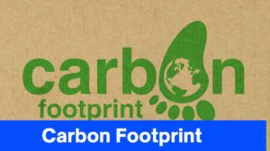 What is a Carbon Footprint: Your Comprehensive Guide to Environmental Responsibility